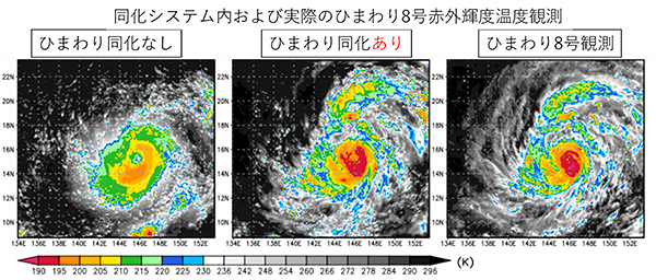 Typhoon