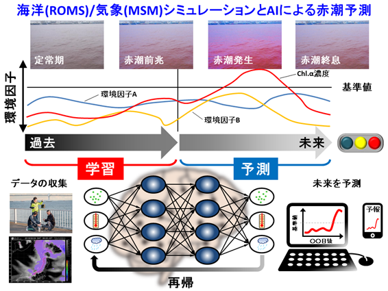 海洋(ROMS)／気象(MSM)シミュレーションとAIによる赤潮予測